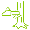 emergency tree services icon