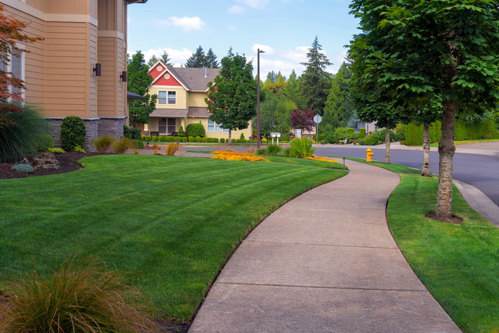 landscape maintenance and plant care in monterey county