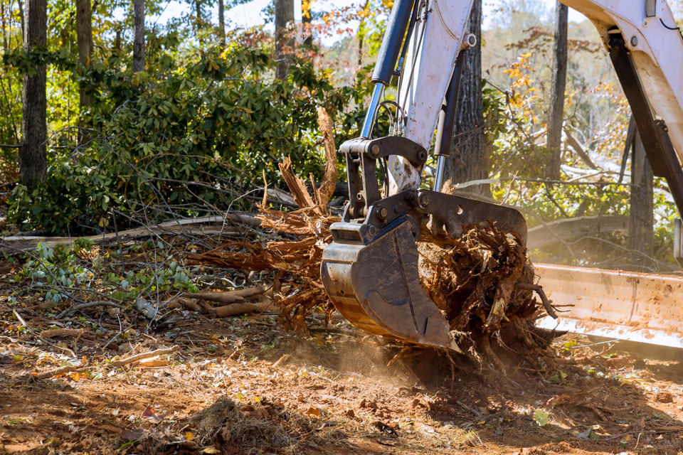 Expert Stump Grinding & Lot Clearing in Monterey County