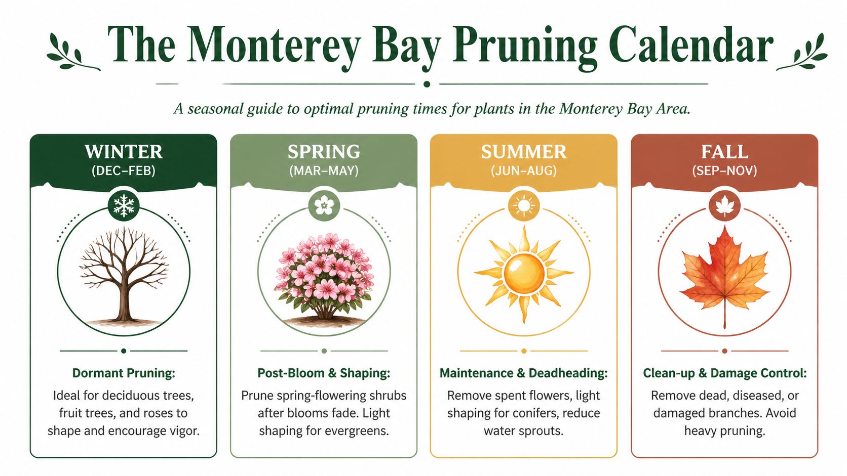 A seasonal infographic titled The Monterey Bay Pruning Calendar showing optimal times to prune garden plants.