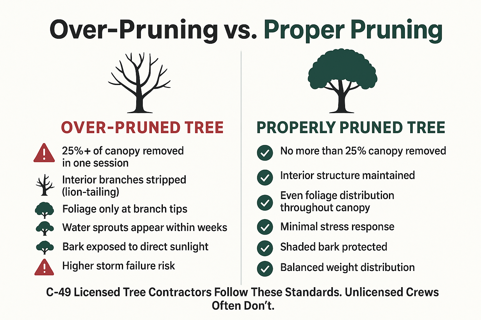 Are You Over-Pruning? Signs Your Trees Are Being Cut Too Hard