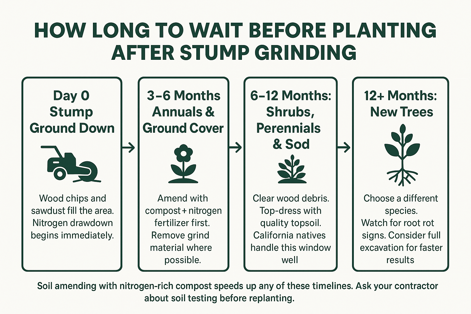 Can You Plant in the Same Spot After a Stump Is Ground Down?
