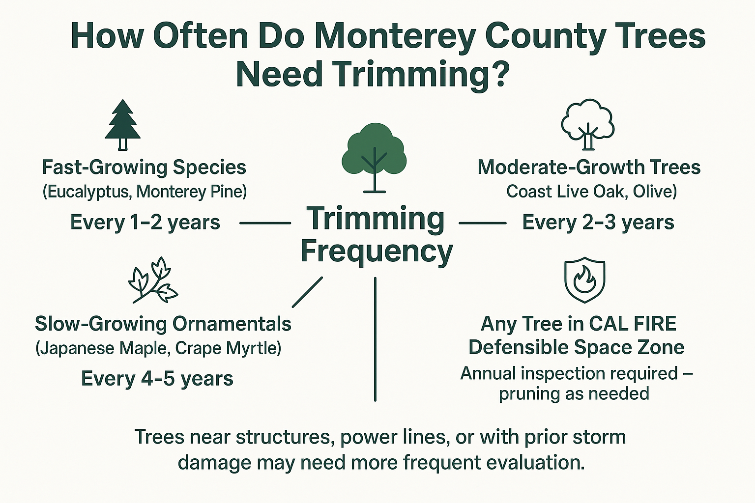 How Often Do Trees in Monterey County Actually Need Trimming?